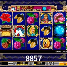 APP oficial da 8857 para mobile